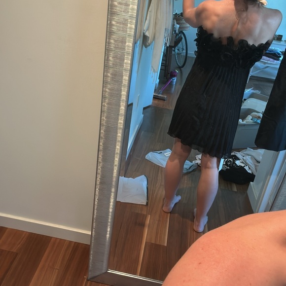 NWT Rosetta Dress - Picture 7 of 8